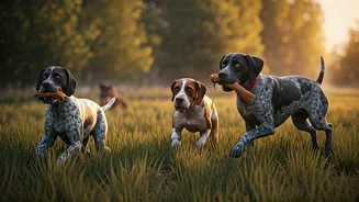 Unleash the Hunter: 7 Dog Breeds with Remarkable Instincts