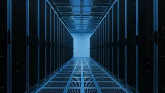 Safe Bets: Jobs Thriving Amidst AI Advancements