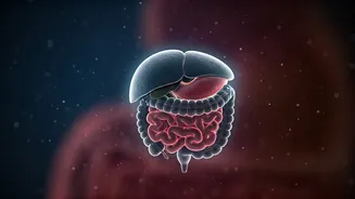 Pune Doctor's 12 Kg Weight Loss in 3 Months: The Non-Exercise Revolution