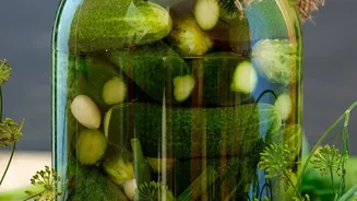 How Eating Traditional Fermented Pickles Protects Stomach Function During Humid Monsoon Seasons