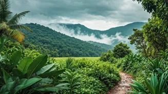 Kerala To Meghalaya: Monsoon Travel Planning Begins