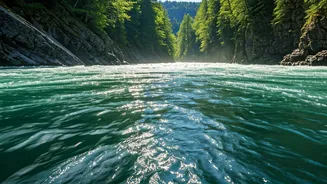 Budget Trips Feel Bigger With Rishikesh Rapids