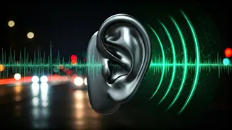 Related Stories banner