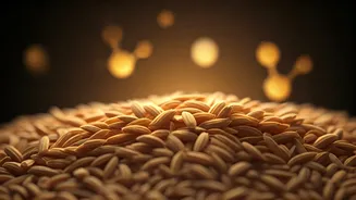 India's 'Designer Rice' Revolution: High-Protein, Low-GI Grain for Diabetes Management