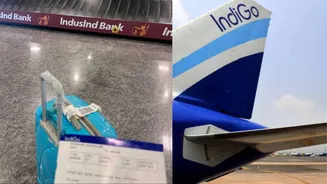 Flyer Claims Her IndiGo Flight Was 'On Time' & 'Drama-Free' Amid Chaos — Internet Explodes