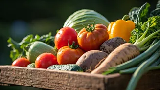 Why Seasonal Vegetables Deserve Your Plate