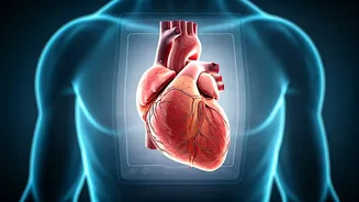 Heart Looks Bigger on X-ray? Understanding When It's Perfectly Fine