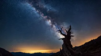 Appreciate Majestic Galactic Deep Time Realities Across Sky Tonight