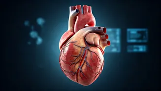 Melatonin's Unexpected Impact on Heart Health