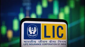 India halts LIC stake sales for 2 to 3 years
