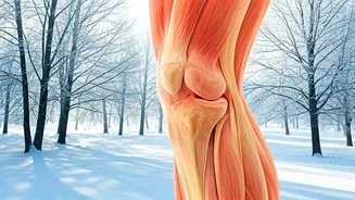 Winter Joint Pain: Why Aches Flare Up in the Cold
