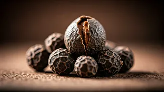 Unlocking the Power of Selim Seeds: Ancient Wisdom for Modern Wellness