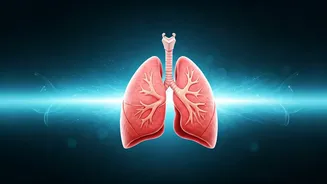 Lung Health Needs Lifestyle And Medical Guidance