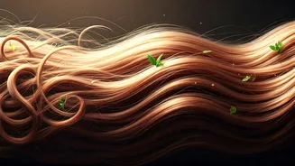 The Haircare Reset Everyone Needs This Year