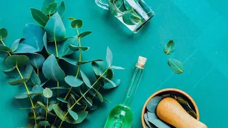 Viral eucalyptus foot soak poses risks