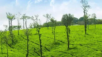 Why Tourism Carrying Capacity Matters for Kerala's Fragile Landscapes
