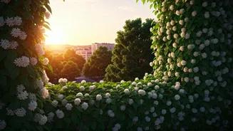 Indian Balconies Need More Jasmine Energy