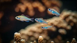 Ocean's Miniature Marvels: 5 Astonishing Fish Smaller Than Your Fingernail!