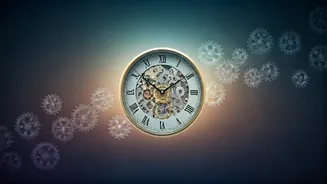 Related Stories banner