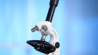 Putting Finding Mistakes in Published Work in Context with AI Checks on Scientific Literature
