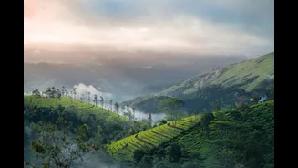 Munnar in May: Three night summer-vacation plan from Kochi under ₹12,000