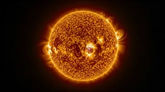 The Sun Behaved Normally Before Its Historic Quiet Spell