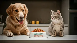 India's pet owners seek custom nutrition