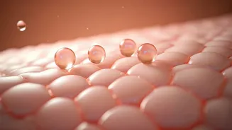 Want Better Skin? Ceramides Are Trending Big