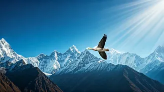 Astonishing Avian Adventures: World Migratory Bird Day 2026's Most Bizarre Journeys