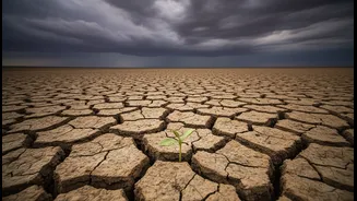 Why the Story around Goa's Weak Monsoon Spell Is Growing More Relevant in India