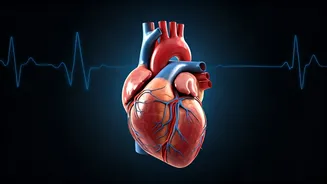 Boosting Circulation: 5 Expert Tips for Vascular Health