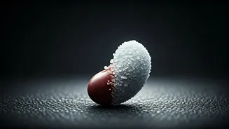 Silent Strain: 7 Everyday Foods Harming Your Kidneys