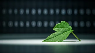Tiny Resets Help Break Digital Brain Fog