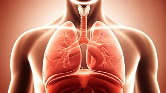 Breathing Irregularities & Chronic Fatigue: What's the Link?