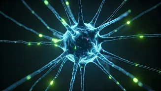Exercises Can Help You Grow New Brain Cells