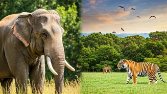 Related Stories banner