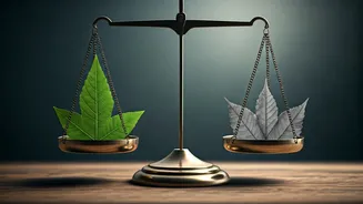 Sibling Comparisons: Shamita Shetty's Experience and Expert Insights on Mental Health