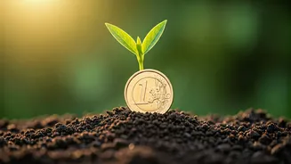 Your Money Journey Starts With Credit