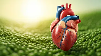 Heart Health Habits: Your Daily Dose
