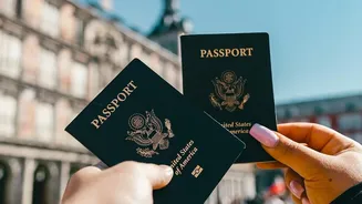 Immigration, Jobs and University Revenue Drive the OPT Fee Debate