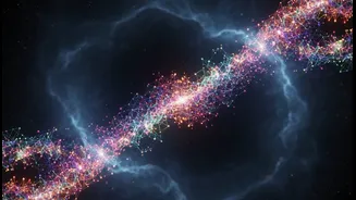Why neuroscientists use machine learning to model newly discovered cerebellar cell networks