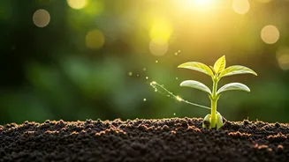 Aries: March 21, 2026 - Celebrating Modest Victories and Nurturing Connections