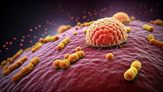 6 Gut-Friendly Habits: Insights from US Experts