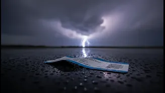 A Cheap Fare Can Lose Value In The Wrong Weather Window