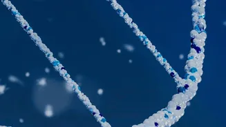 Inside DNA Study On Why Large Dogs Age Faster: Larger Dogs Show Faster Changes In DNA Methylation