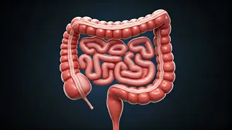 Colorectal Cancer's Rise Among Young Adults: What to Avoid