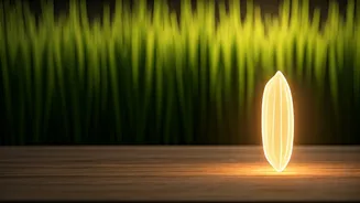 CR Dhan 310: Odisha's High-Protein Rice Tackling India's Hidden Hunger Crisis