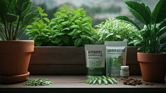 The Eco-Friendly Monsoon Trend Worth Following