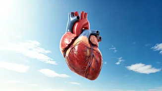 Heart Health in the Skies: Protecting Your Heart While Flying