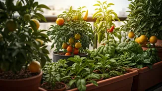 Urban Gardeners Are Chasing Fruit-Bowl Dreams